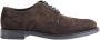 TOD'S Bruin Suède Leren Derby Brogues Brown Heren - Thumbnail 1