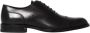 TOD'S Zwarte leren Oxford schoenen Black Heren - Thumbnail 1