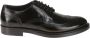 TOD'S Zwarte platte schoenen met rubberen zool Black Heren - Thumbnail 1