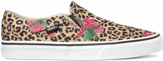 cheetah asher vans