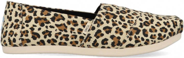 Toms Alpargata 10015065 Bruin