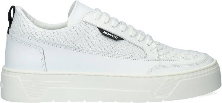 Antony Morato Flint Animal lage sneakers