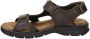 Panama Jack Salton Basics nubuck sandalen bruin - Thumbnail 3