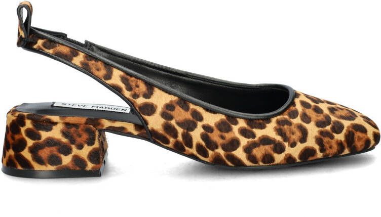 Steve Madden Smitten Leopard ballerinas & instappers