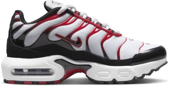 Nike Air Max Plus Kleuterschoenen Grijs