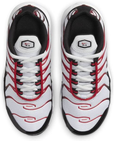 Nike Air Max Plus Kleuterschoenen Grijs