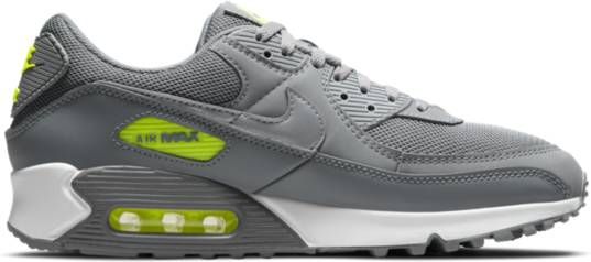 Nike Air Max 90 Herenschoen Grijs