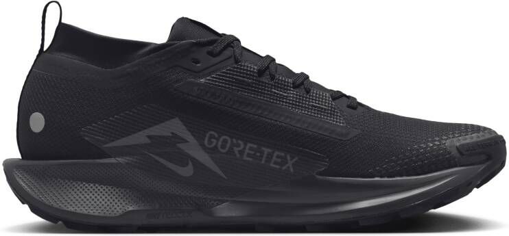 Nike Pegasus Trail 5 GORE-TEX waterdichte trailrunningschoenen voor heren Zwart