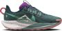 Nike Pegasus Trail 5 trailrunningschoenen voor dames Blauw - Thumbnail 4