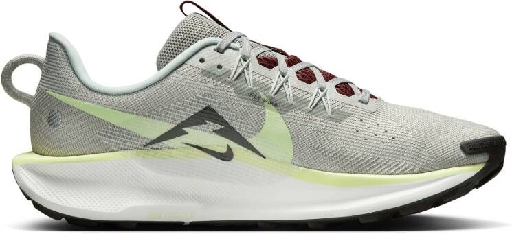 Nike Pegasus Trail 5 trailrunningschoenen voor heren Grijs