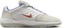 Nike Sb Vertebrae Skate Schoenen wit - Thumbnail 5