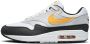 Nike Air Max 1 Sneakers Multicolor Heren - Thumbnail 1