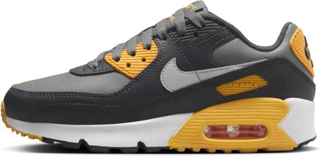 Nike Air Max 90 Kinderschoen Grijs