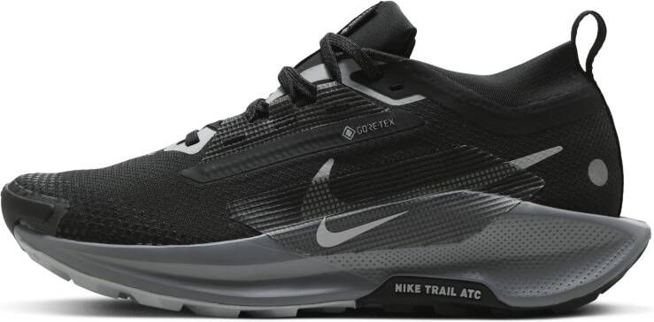 Nike Pegasus Trail 5 GORE-TEX waterdichte trailrunningschoenen voor dames Zwart