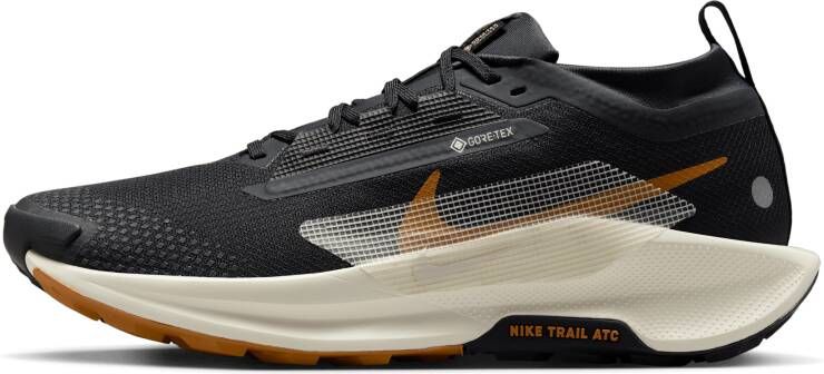 Nike Pegasus Trail 5 GORE-TEX waterdichte trailrunningschoenen voor heren Zwart