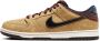 Nike SB Dunk Low Pro Skateschoenen Bruin - Thumbnail 1