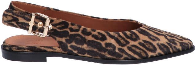 Billi Bi A8301 Schoenen Dames Bruin