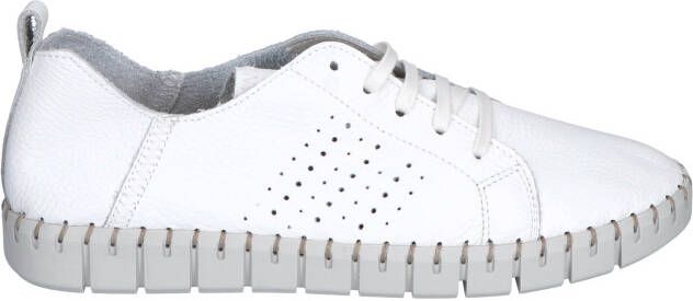 Cypres 26300 White Veterschoenen