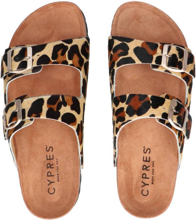 Cypres Teyanna 2415409 Potro Leopardo Muilen