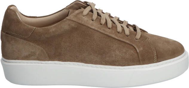 Daniel kenneth Robbie Beige Suede Veterschoenen