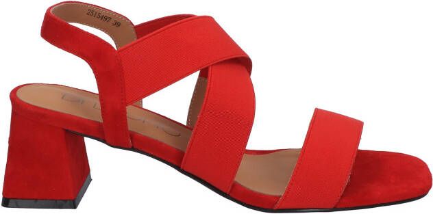 Di lauro Alida 2515497 3 Red Elastic Sandalen