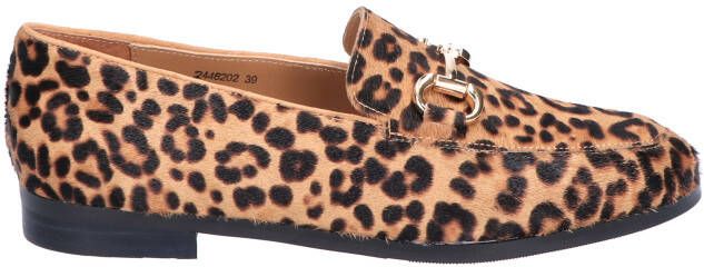 Di lauro Laure Leopard Instapschoenen