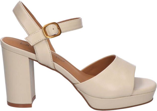 Di lauro Romani 2516610 HD1294 L.Beige Pumps