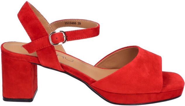 Di lauro Tylina 2515466 HD1343 Red Sheepsuede Sandalen