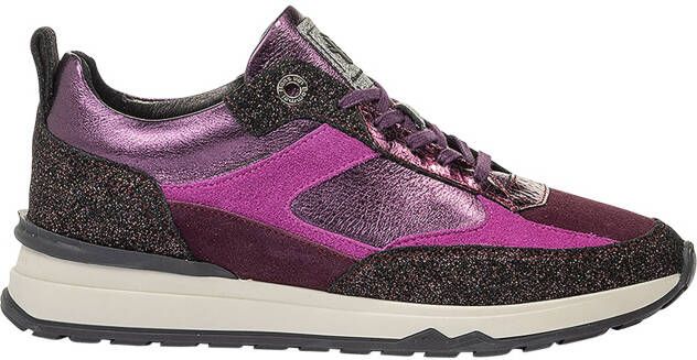 Floris van bommel Mari 01.08 Purple G-Wijdte Sneakers