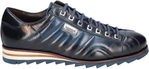 Harris 894P Blue Veterschoenen