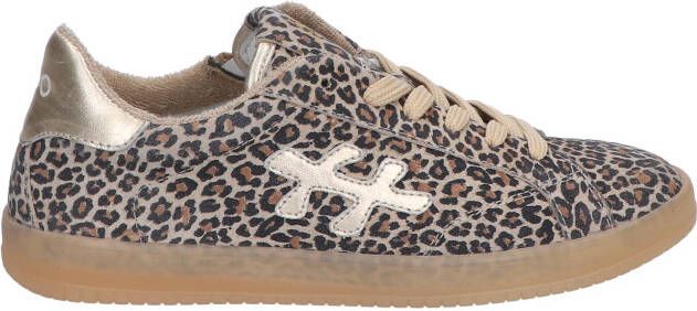 Hip H1886 22CO Beige Leopard Veterschoenen