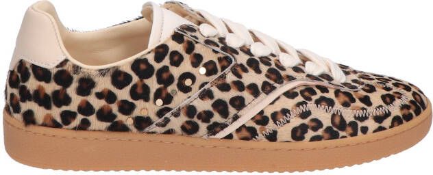 Nubikk Ray Owen Studs Women Leopard Sneakers