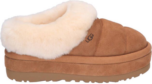 Ugg Tazzlita Chestnut Pantoffels