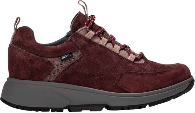 Xsensible 40203.5 726 Burgundy H-wijdte Veterschoenen