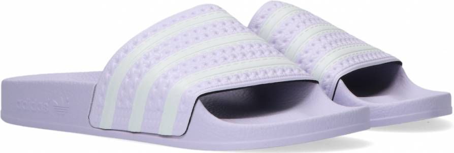 opslag vezel Verbinding Adidas Adilette Dames Slippers en Sandalen Purple Synthetisch 1 3 Foot  Locker - Schoenen.nl