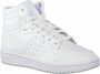 Adidas Originals Top Ten Heren High Top Sneakers Sport Casual Schoenen Leer Wit FV6131 - Thumbnail 1