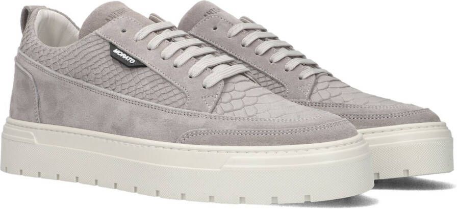 Antony Morato Flint sneakers python Grijs Suede Lage sneakers Heren