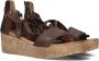 AYANA Sandalen Dames 722007 Maat: 35 Materiaal: Leer Kleur: Cognac - Thumbnail 1