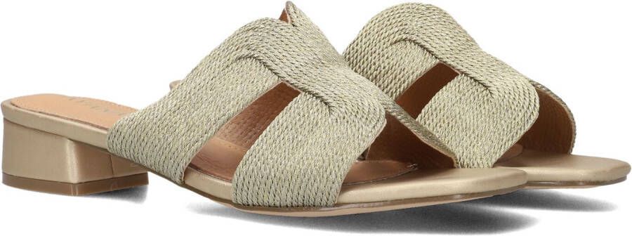 AYANA Slippers Dames 0325-8 Maat: 39 Materiaal: Textiel Kleur: Goud