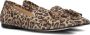 Ctwlk. Leopard Print Fringe Ballerina Schoenen Brown Dames - Thumbnail 1