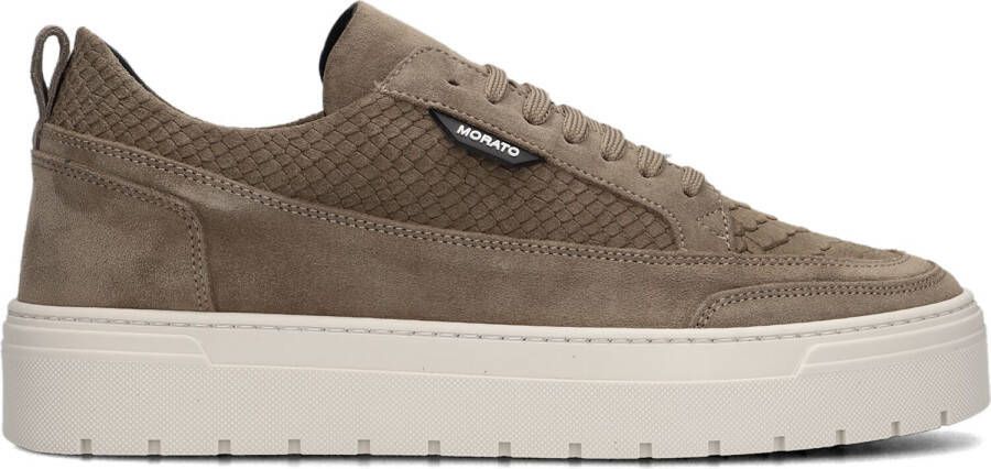 Antony Morato Taupe Lage Sneakers Mmfw01623