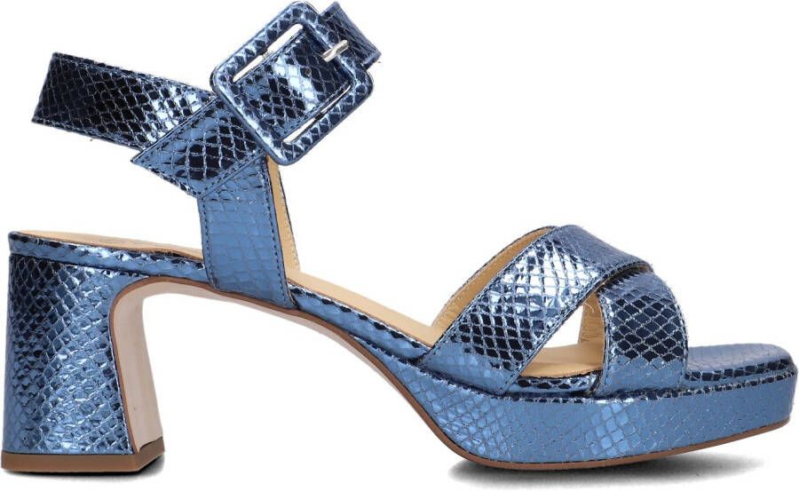 CTWLK Blauwe Sandalen Tamouch