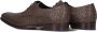 FLORIS VAN BOMMEL Nette Schoenen Heren Sfm-30262 Maat: 46 Materiaal: Leer Kleur: Taupe - Thumbnail 5