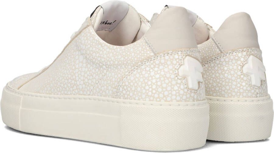 Floris Van Bommel Witte Lage Sneakers Sfw-10059