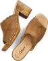 Gabor Bruine Sandalen 741.2 Stijlvol Comfort Brown Dames - Thumbnail 5