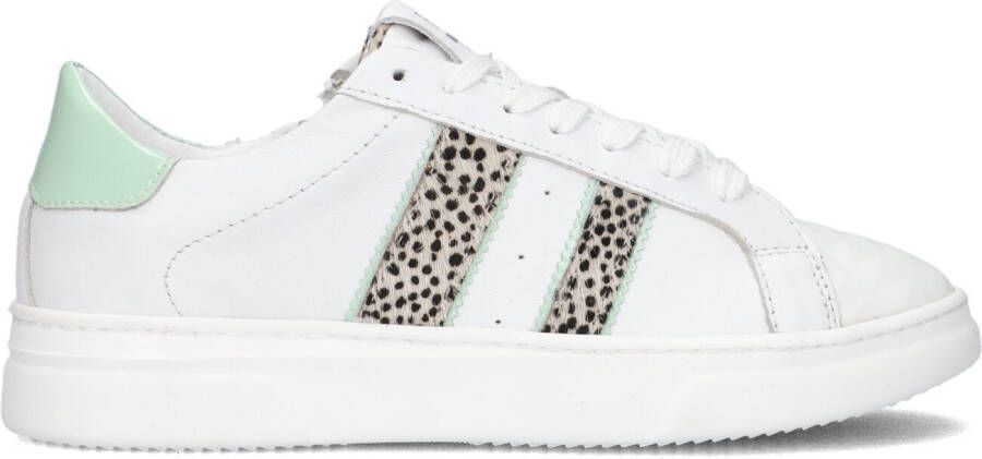 Hip Witte Lage Sneakers H1610