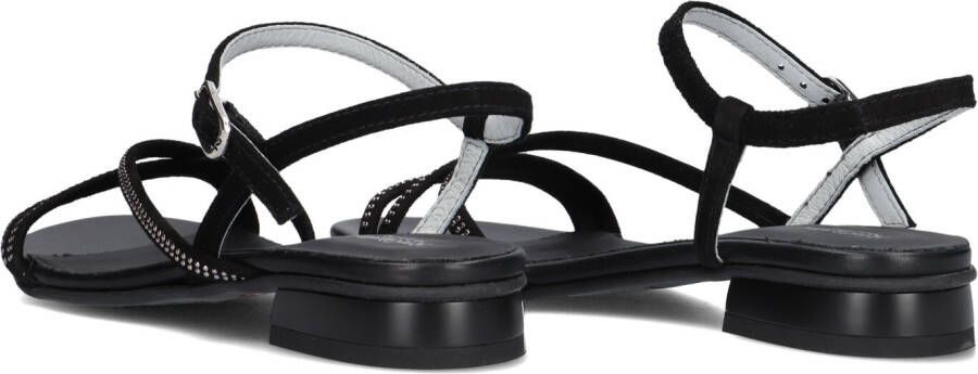 Nerogiardini Zwarte Lage Hak Sandalen voor Vrouwen Black Dames - Foto 5