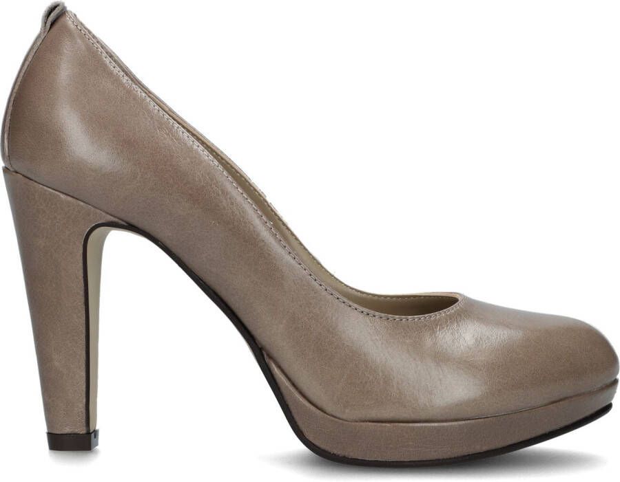 Noë Taupe Pumps Nabla Pump