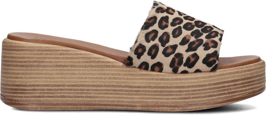 NOTRE-V Bruine Slippers 816013