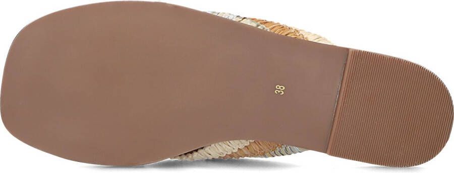 NOTRE-V Multicolor Slippers 979006